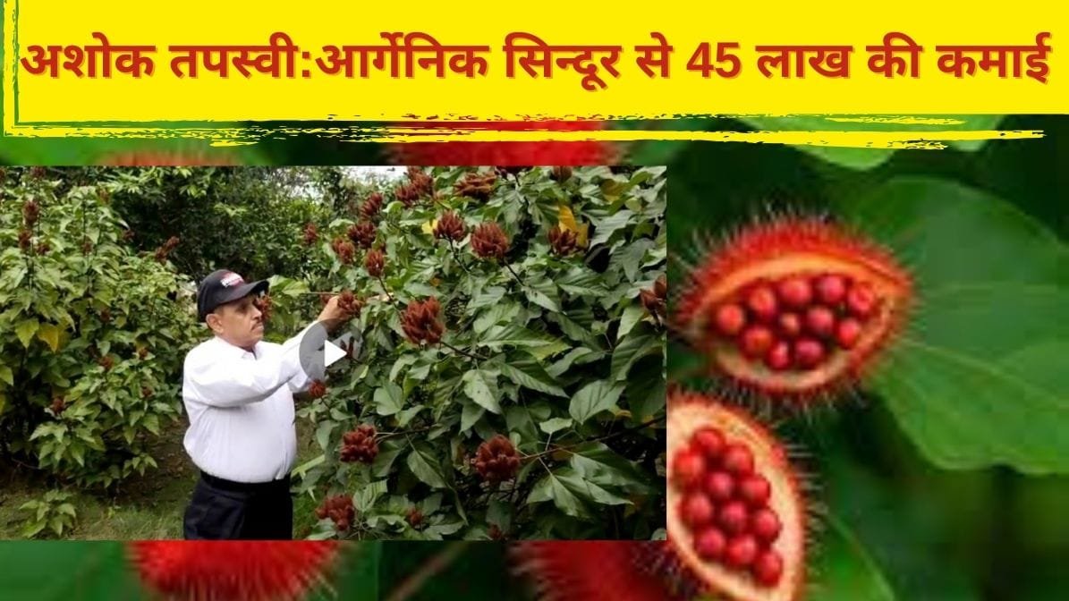 आर्गेनिक सिन्दूर