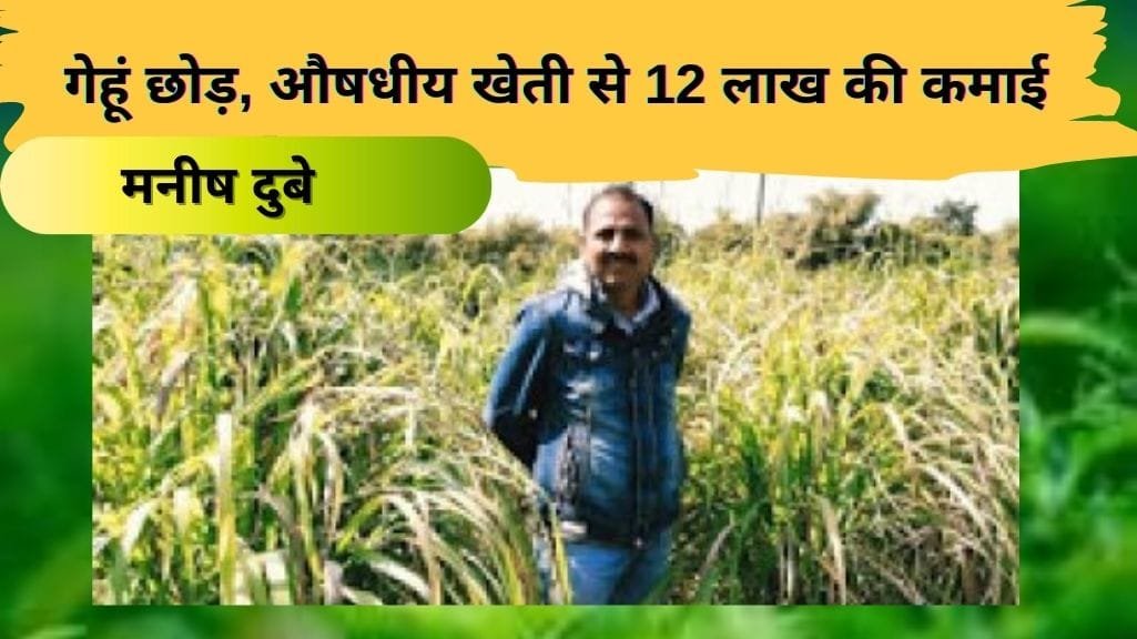 औषधीय पौधों