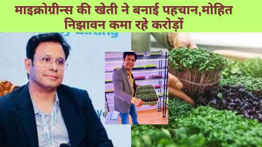 माइक्रोग्रीन्स की खेती
