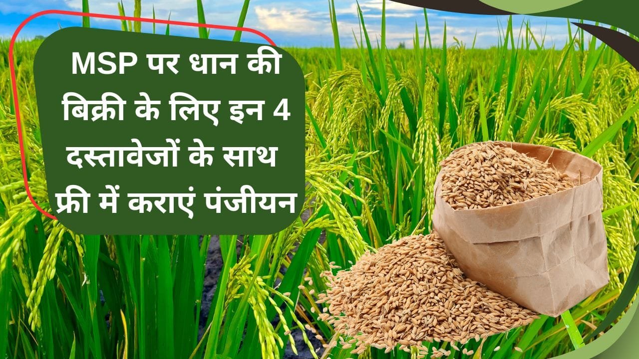 MP में धान का पंजीयन