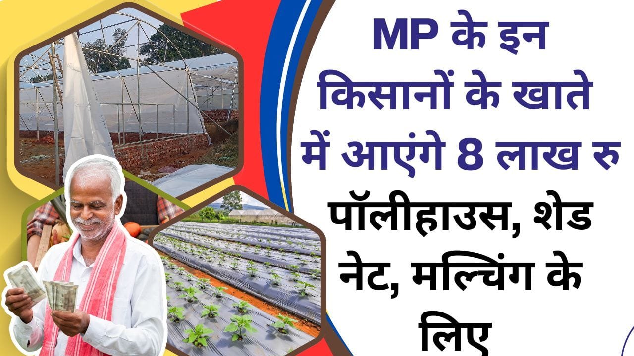 पॉलीहाउस के लिए लॉटरी द्वारा चुने गए किसानों के नाम