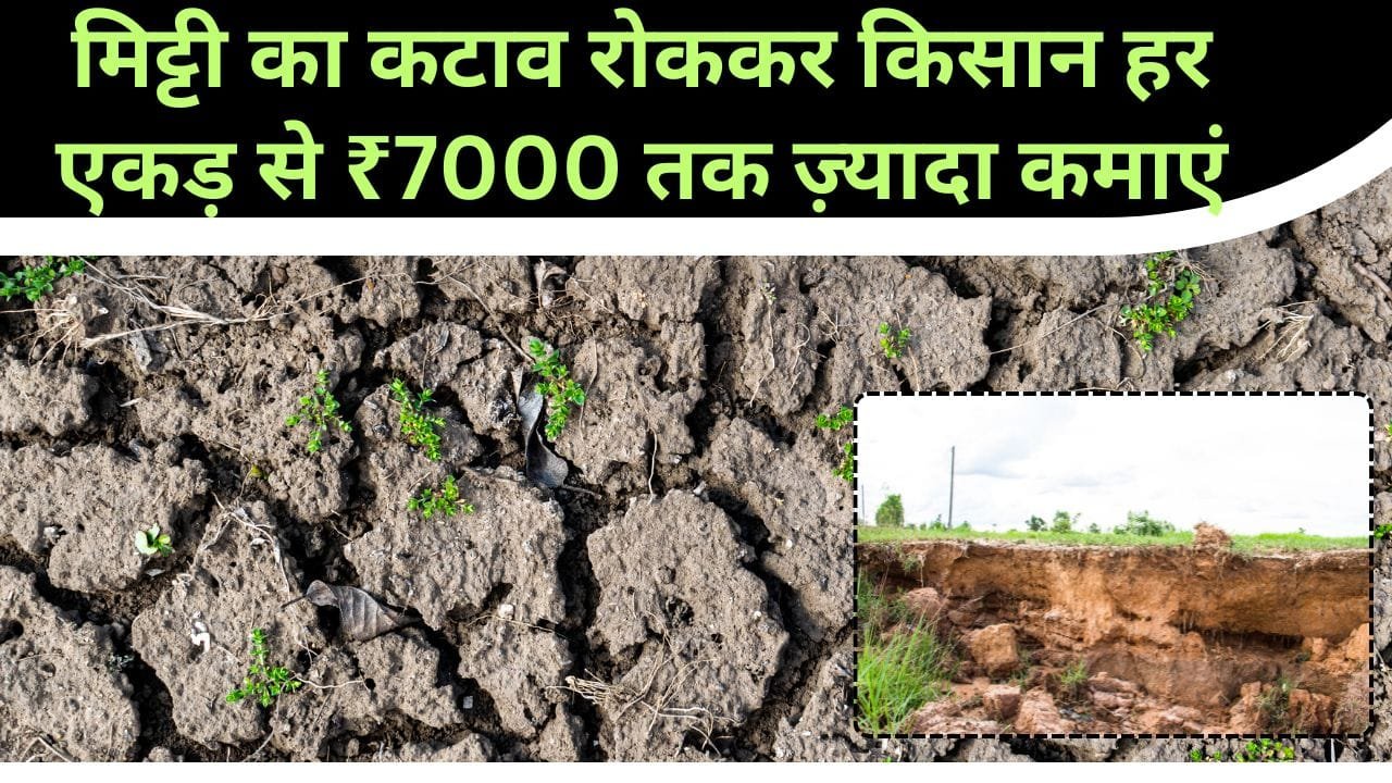मिट्टी का कटाव रोकने के उपाय