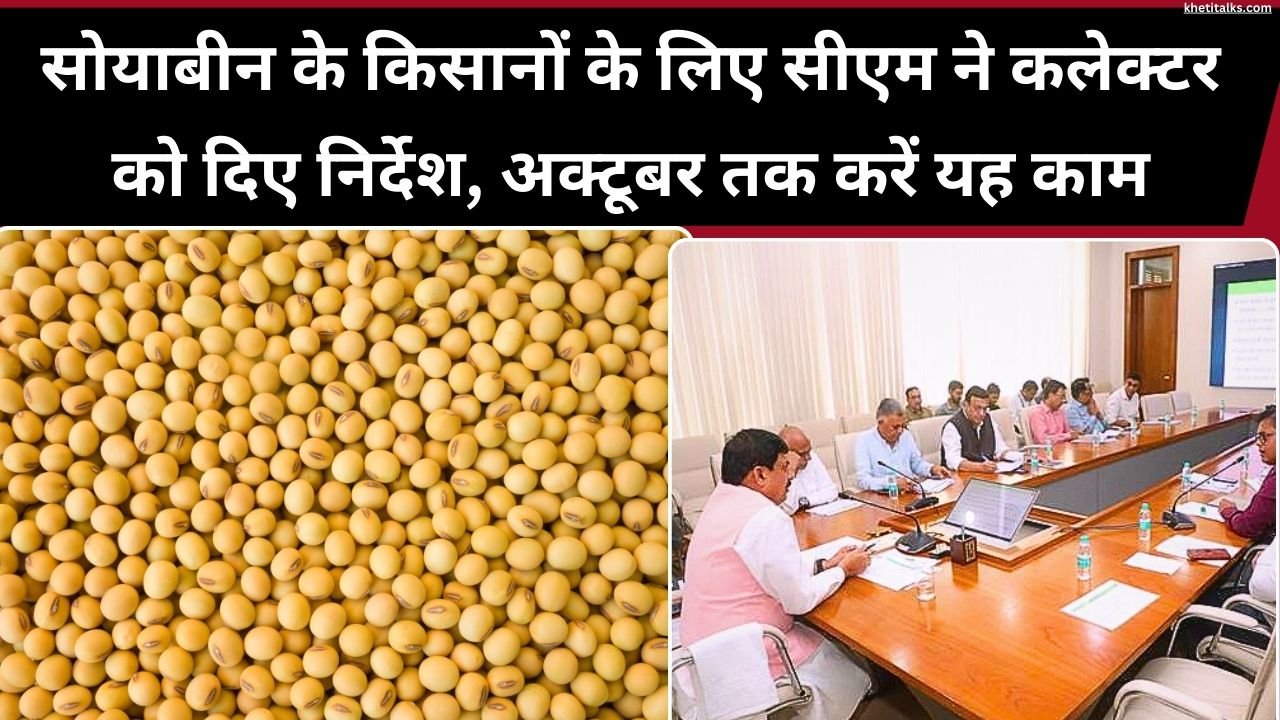 मुख्यमंत्री डॉ मोहन यादव ने वीडियो कॉन्फ्रेंसिंग पर कलेक्टर को निर्देश दिए