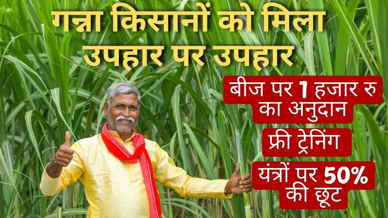 मुख्यमंत्री गन्ना विकास योजना