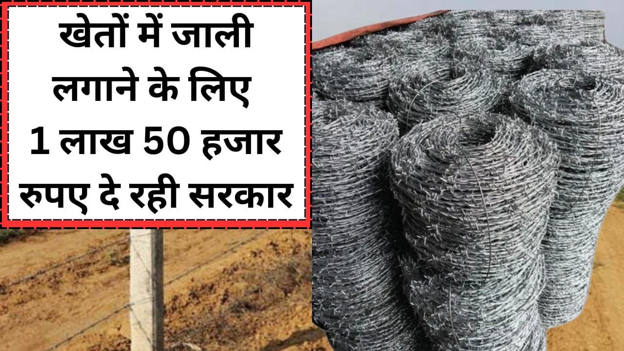 इन 19 जिलों के किसानों को तारबंदी पर मिल रही सब्सिडी