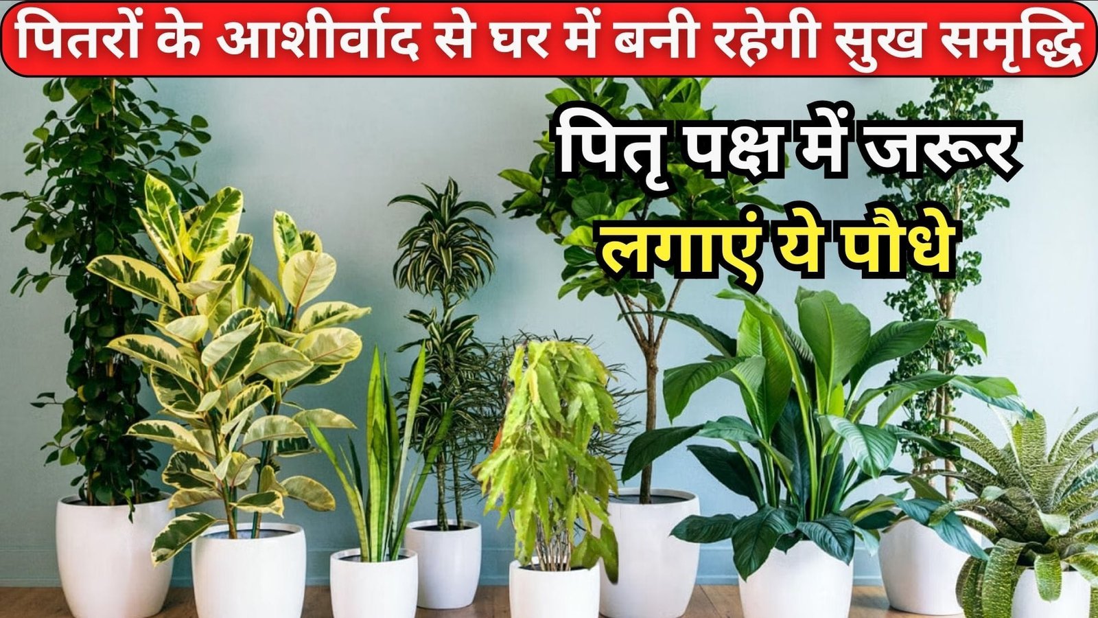 पितृ पक्ष में जरूर लगाएं ये पौधे, पितरों के आशीर्वाद से घर में बनी रहेगी सुख समृद्धि नाराज पितृ भी होंगे प्रसन्न, जाने नाम