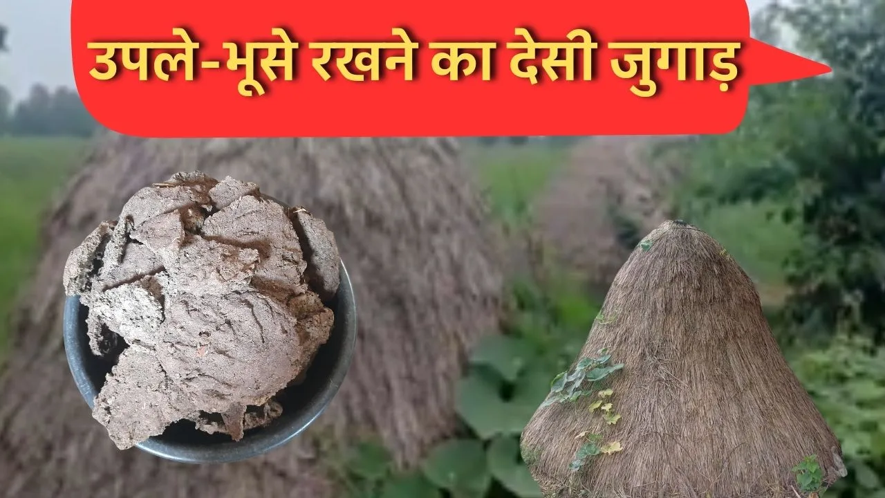 उपला-भूसा रखने का देसी जुगाड़