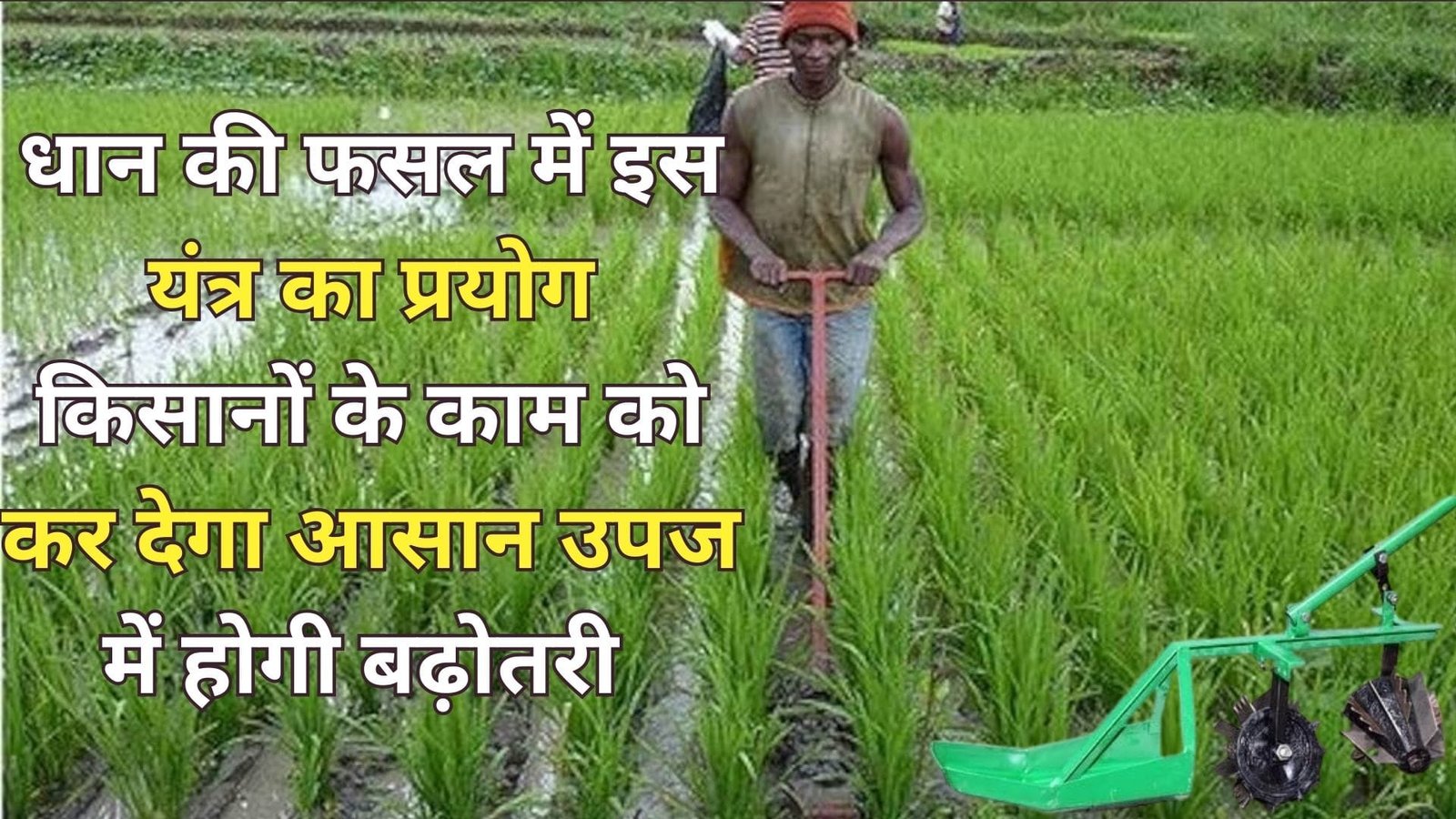 Agriculture Tips: धान की फसल में इस यंत्र का प्रयोग किसानों के काम को कर देगा आसान, उपज में होगी बढ़ोतरी उत्पादन से भर जाएंगे गोदाम