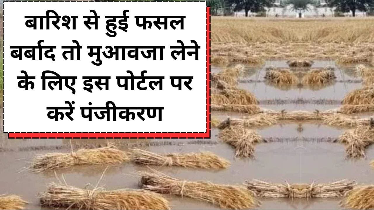 मुआवजा के लिए इस पोर्टल पर करें पंजीकरण