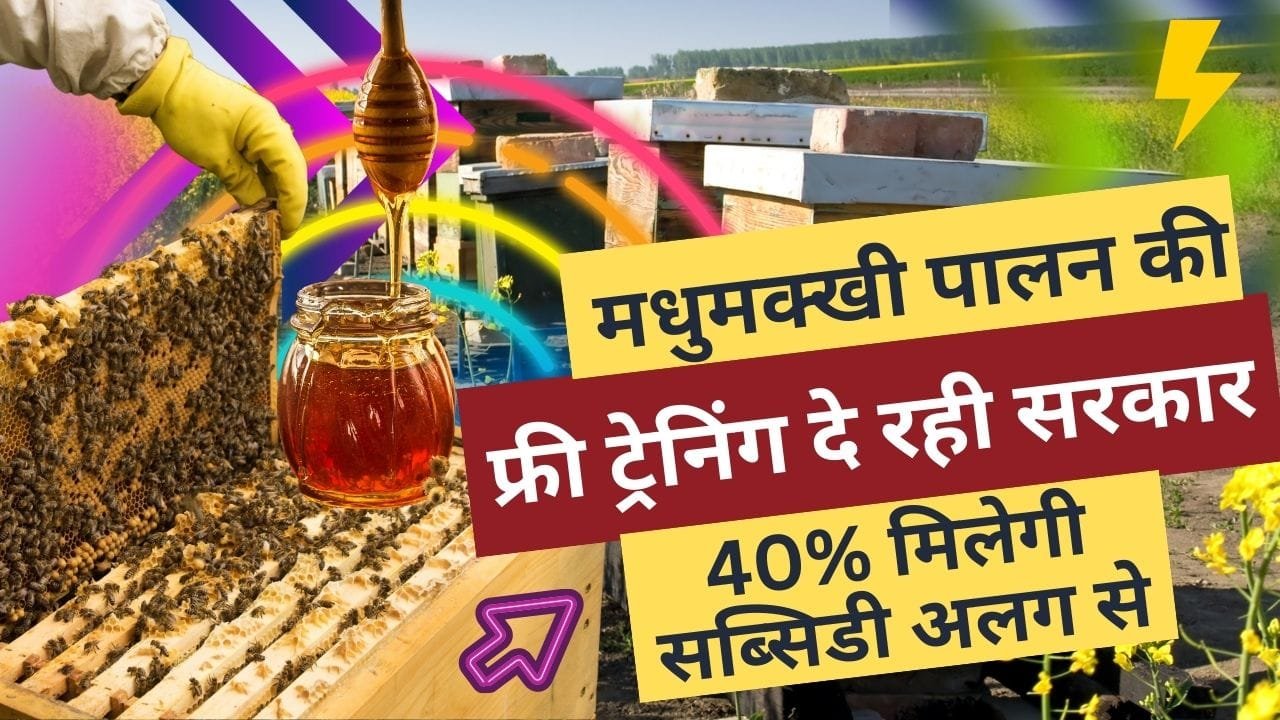 मधुमक्खी पालन के लिए फ्री प्रशिक्षण