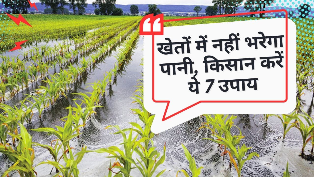 खेत में पानी भरने से कैसे रोकें?