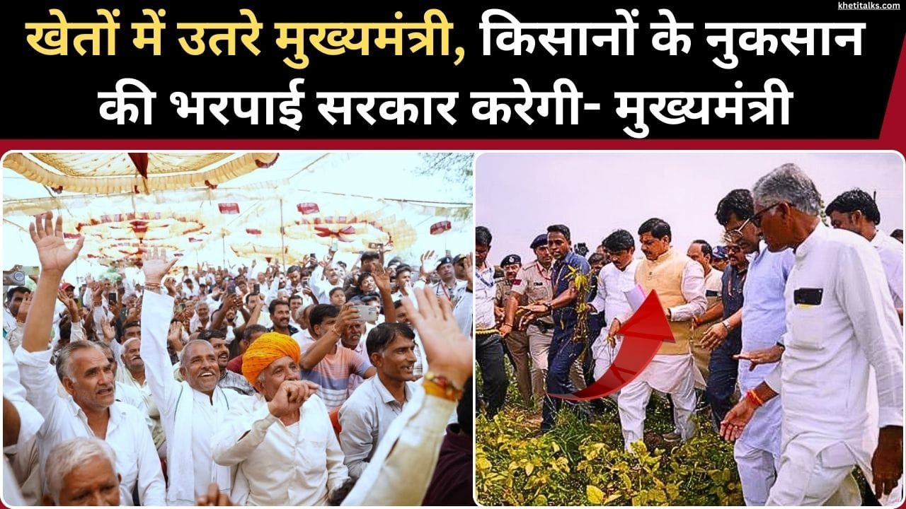 मुख्यमंत्री डॉ. यादव