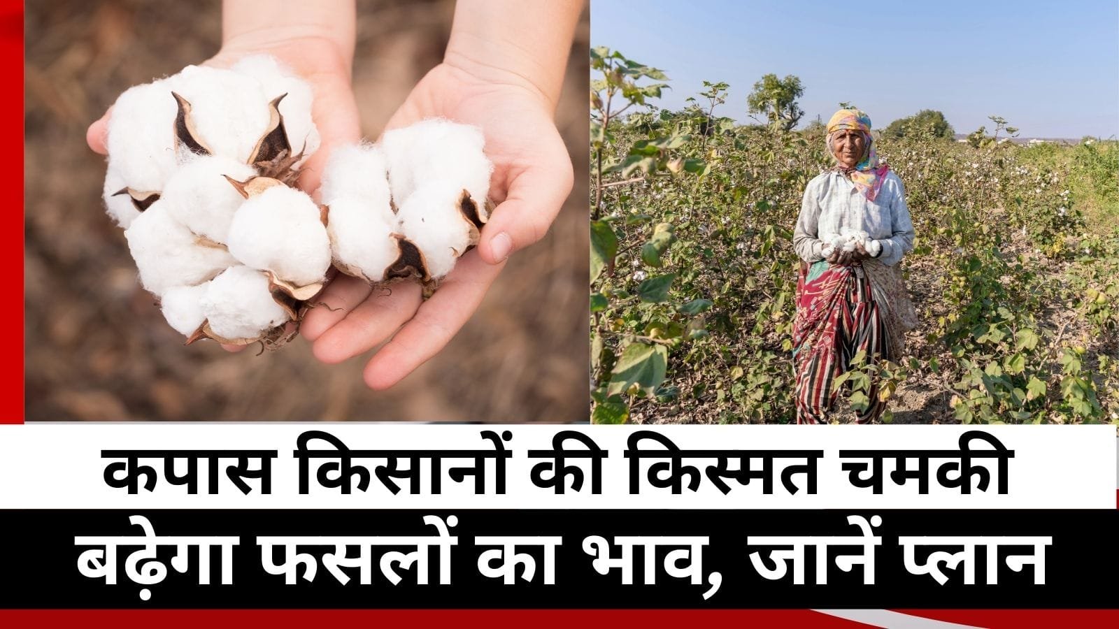 पीएम मित्रा पार्क