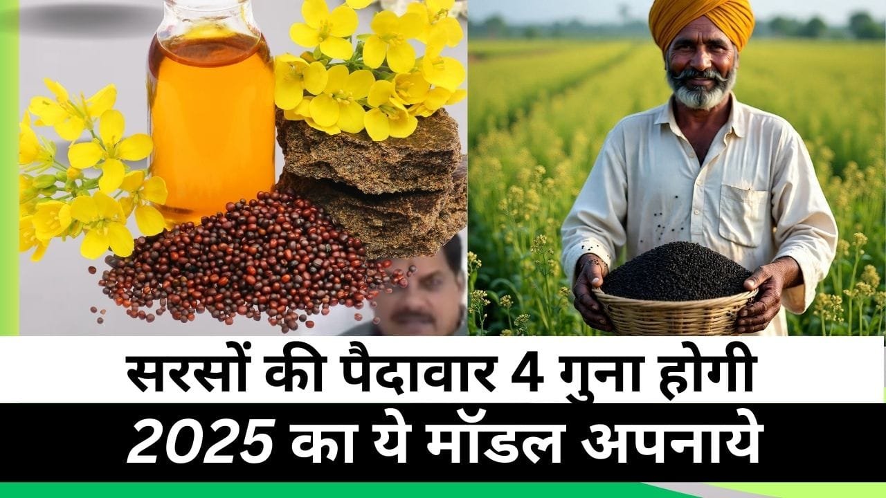 अगेती सरसों की खेती