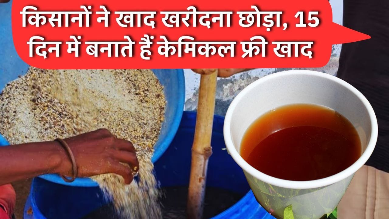 किसान 15 दिन में बनाते हैं केमिकल फ्री खाद