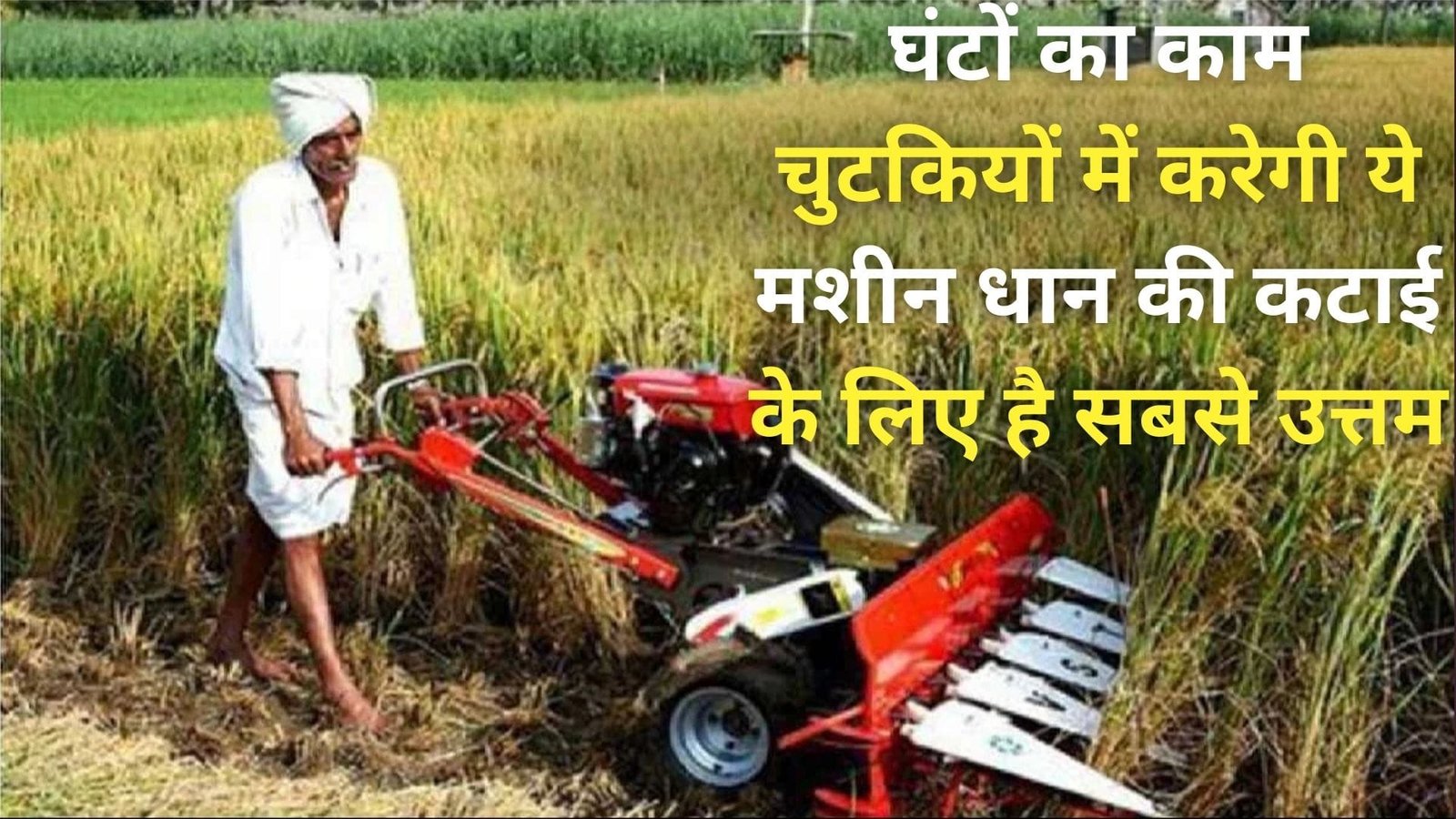घंटों का काम चुटकियों में करेगी ये मशीन, धान की कटाई के लिए है सबसे उत्तम मजदूरी के मुकाबले पैसा भी बेहद कम, जाने नाम