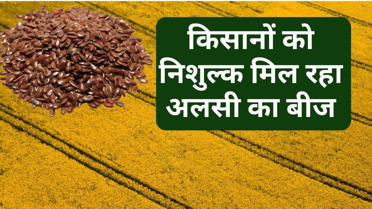 निशुल्क तिलहन बीज मिनी किट वितरण योजना