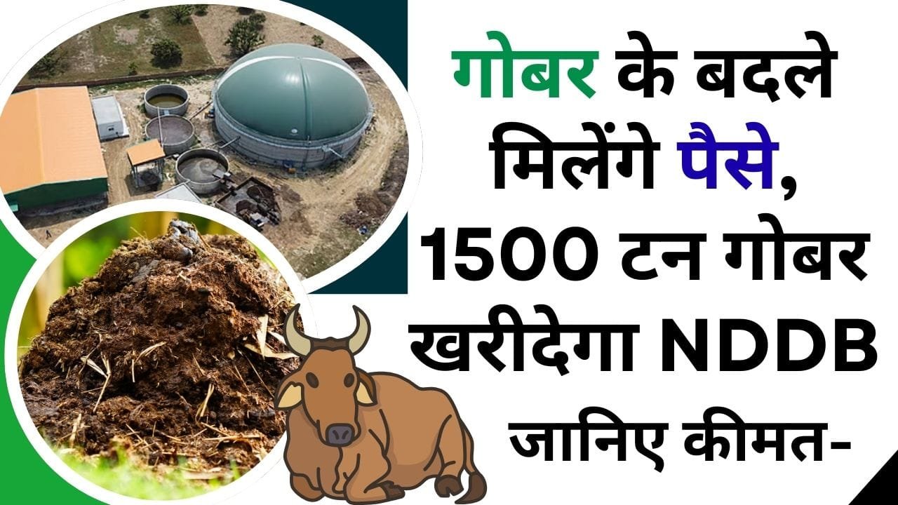 किन राज्यों में होगी बायोगैस प्लांट की स्थापना