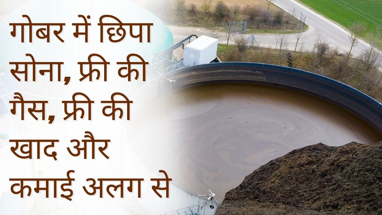 गोबर गैस संयंत्र और जैविक खाद उत्पादन