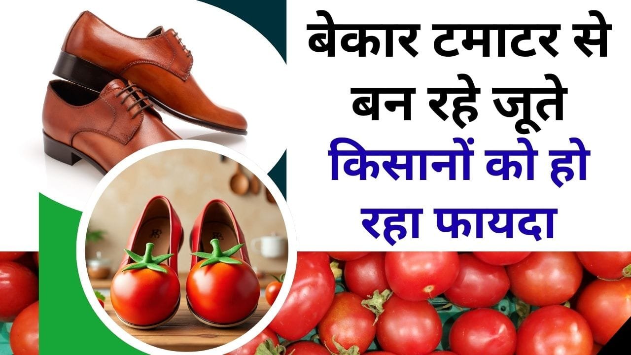 टमाटर से बन रहे हैं जूते