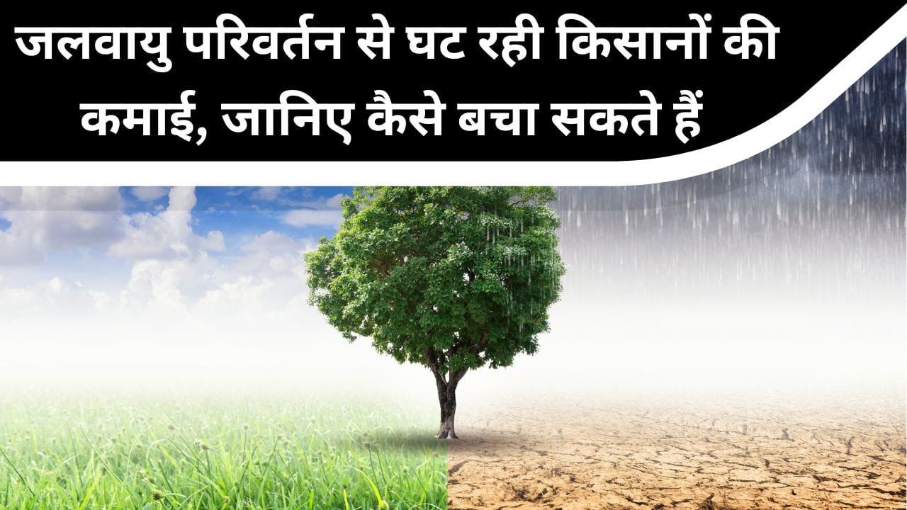 जलवायु परिवर्तन का खेती पर असर: सम्पूर्ण जानकारी