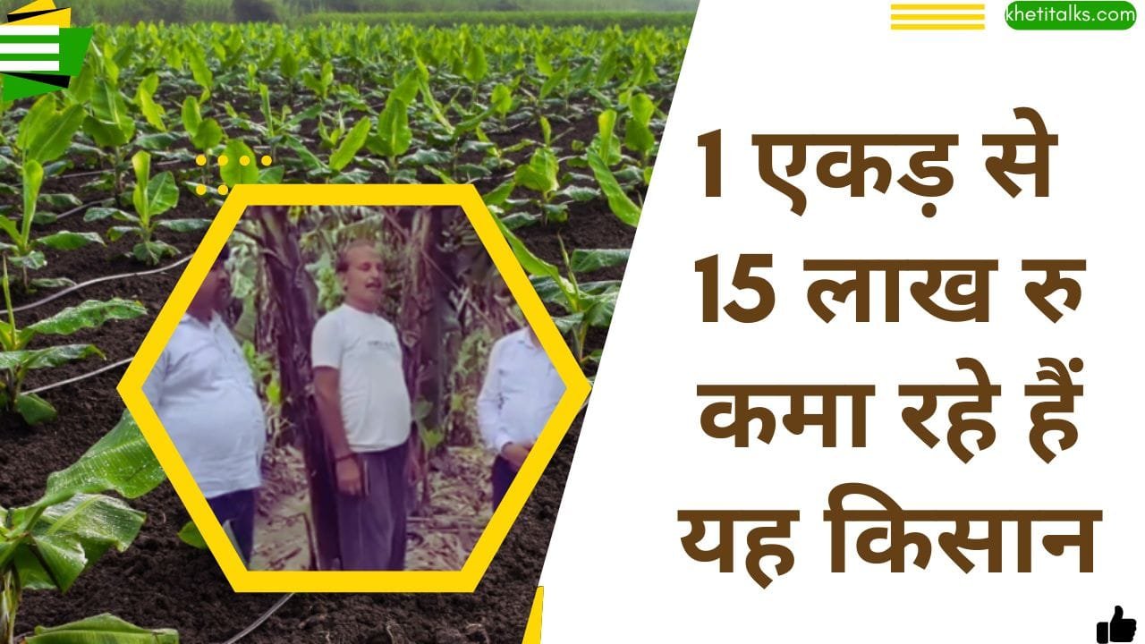 फल की खेती में मुनाफा