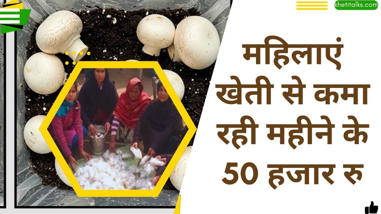 महिला किसानों के सफलता की कहानी