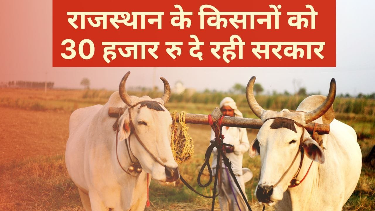 बैलो से खेती पर अनुदान