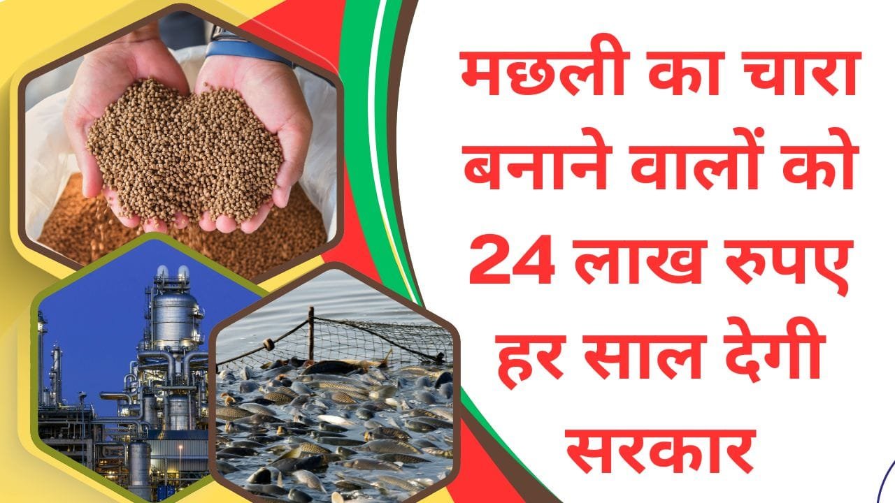 फिश फीड उद्योगों को विद्युत वित्तीय सहायता