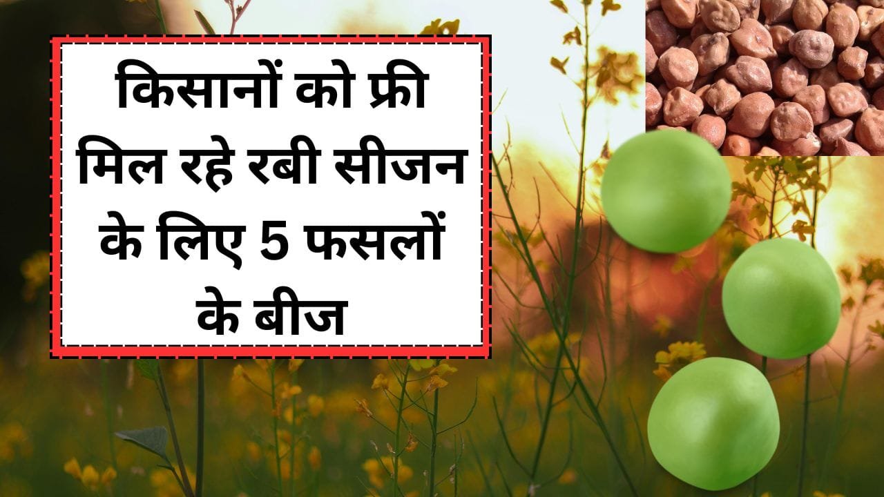 मुफ्त मिनी किट बीज वितरण