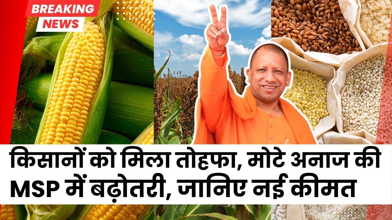 मक्का, ज्वार, बाजरा