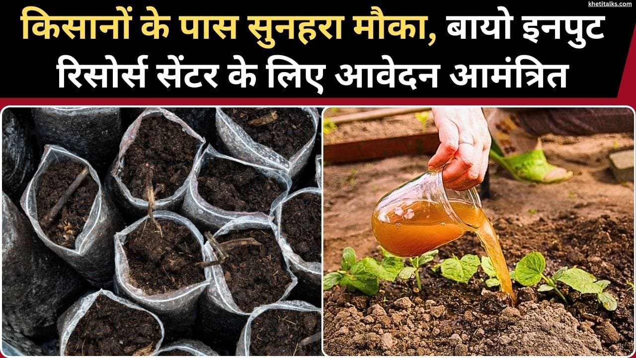 निवाड़ी जिले में बीआरसी स्थापना के लिए आवेदन मांगे गए हैं