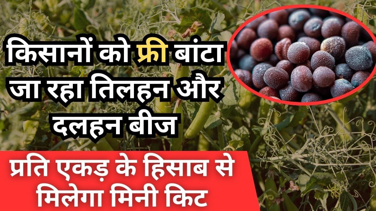 मुफ्त में तिलहन और दलहन फसलों के बीज