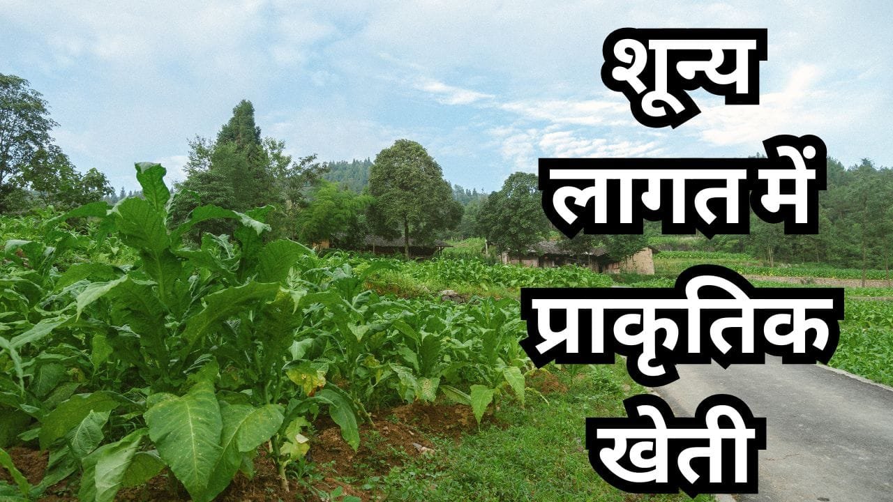 शून्य लागत प्राकृतिक खेती क्या है?