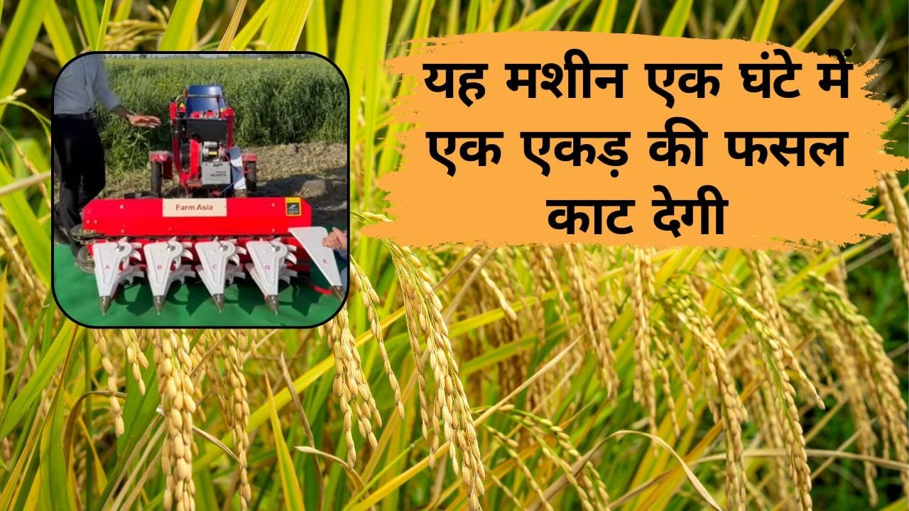 धान काटने की मशीन