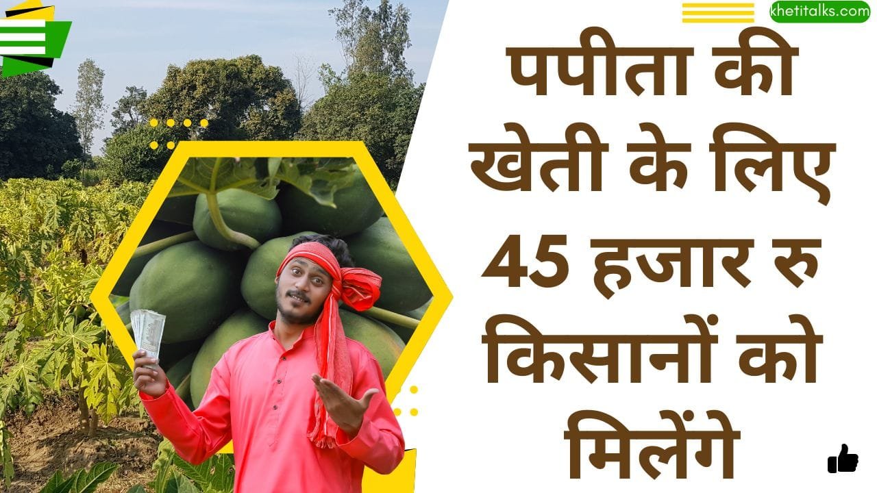 एकीकृत बागवानी विकास मिशन