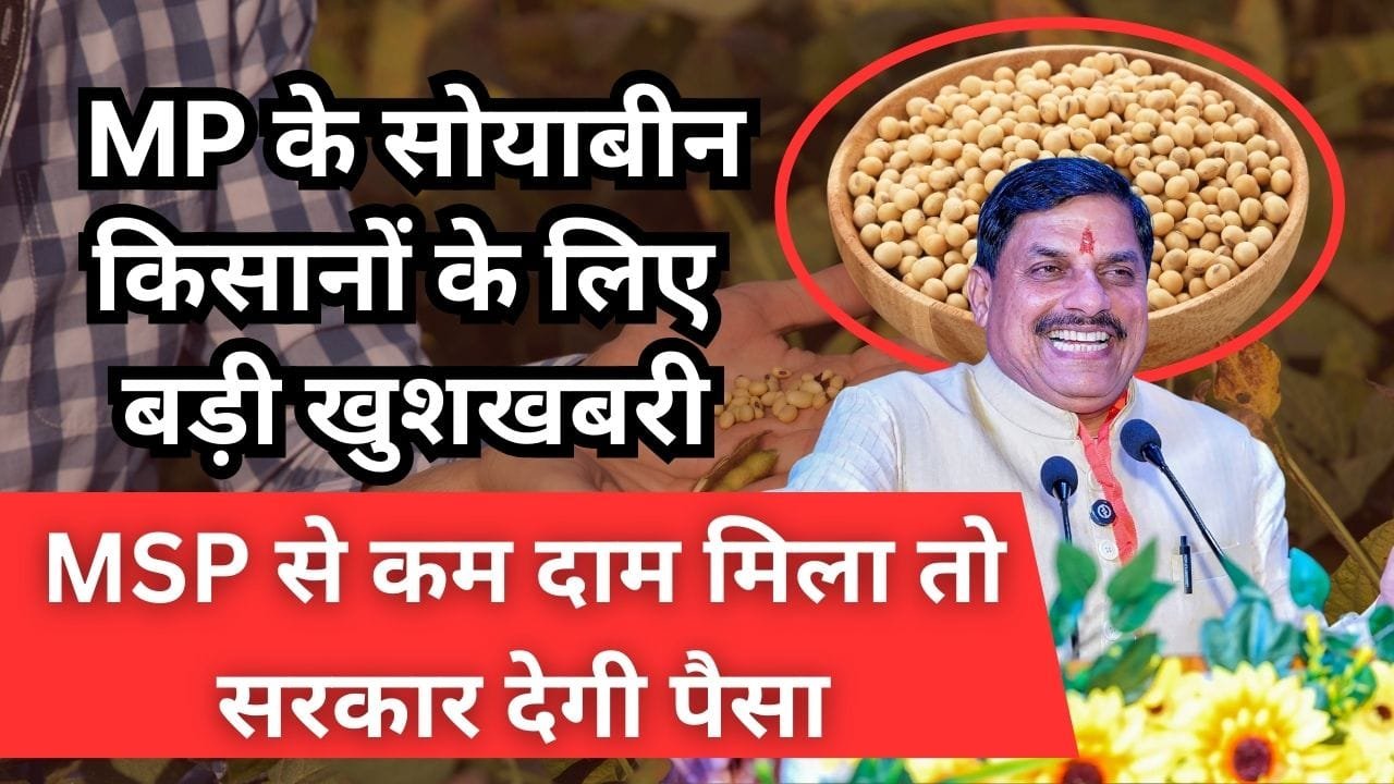 MP के सोयाबीन किसानों के लिए