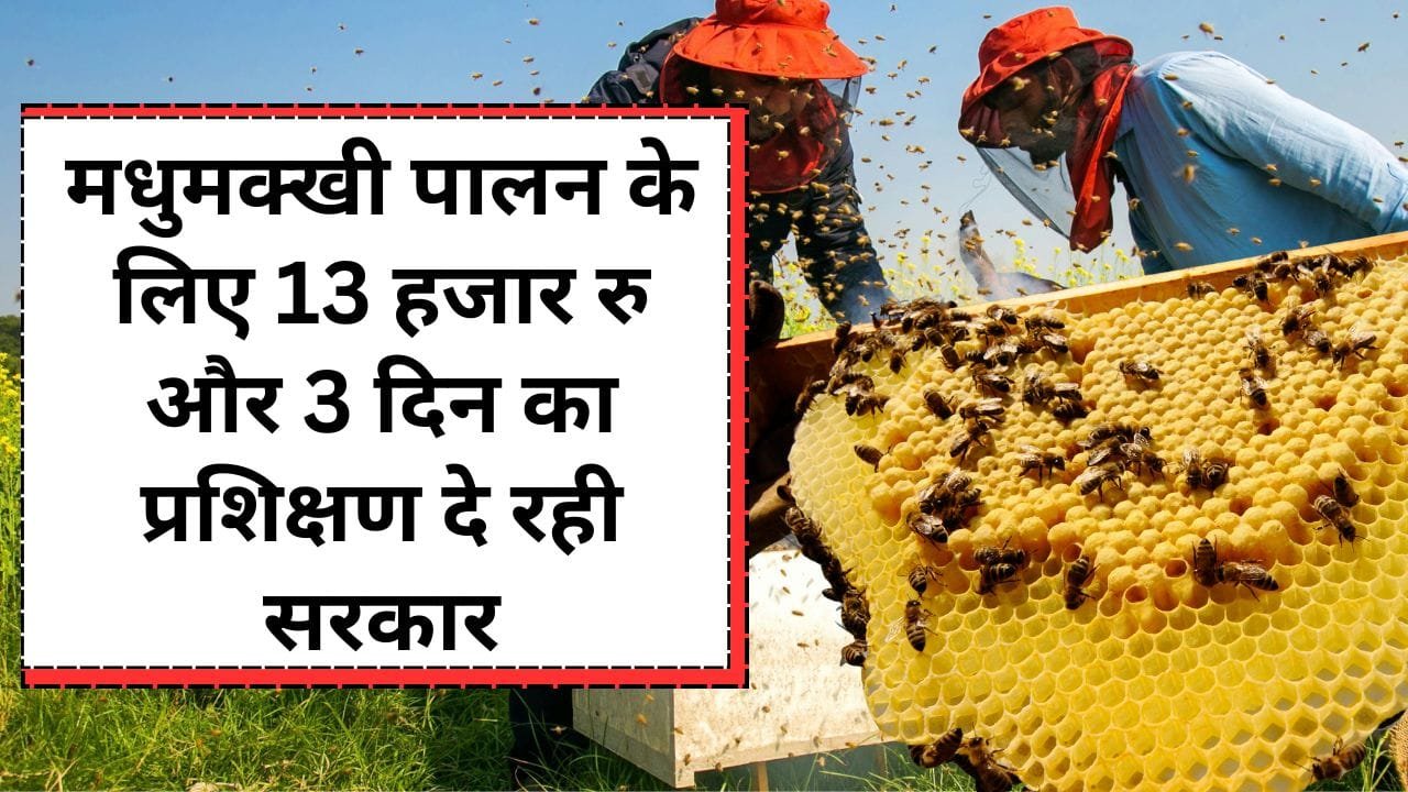 मधुमक्खी पालन के लिए अनुदान