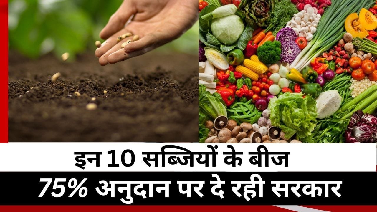 सब्जियों के बीजों पर 75% तक का अनुदान