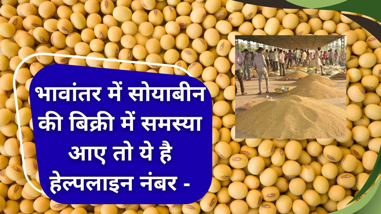 भावांतर हेल्पलाइन नंबर