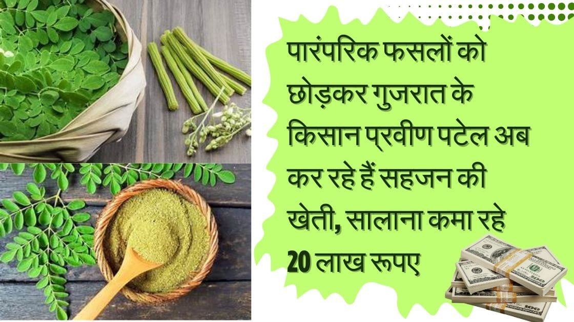 MORINGA FARMER SUCCESS STORY