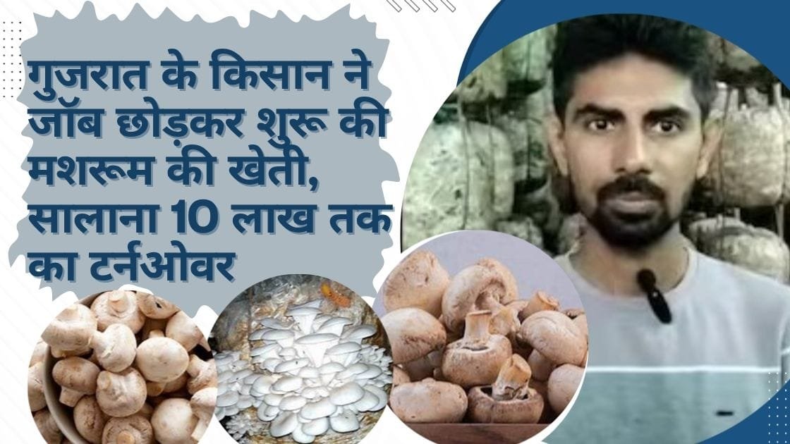 MUSHROOM FARMER SUCCESS STORY