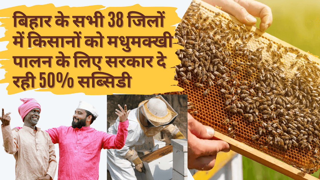 beekeeping yojana