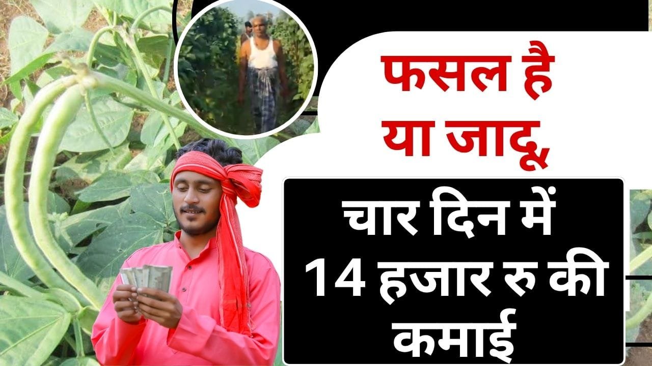 बोड़ा की सब्ज़ी