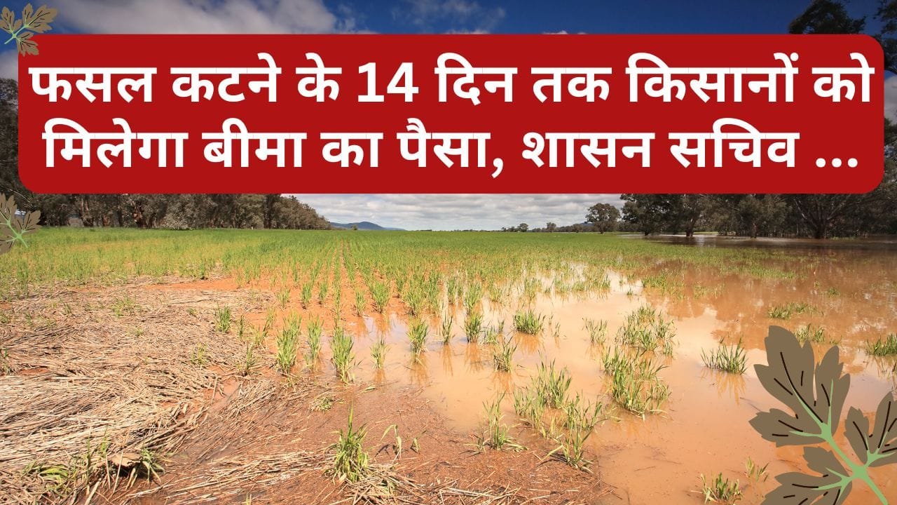 प्रधानमंत्री फसल बीमा योजना