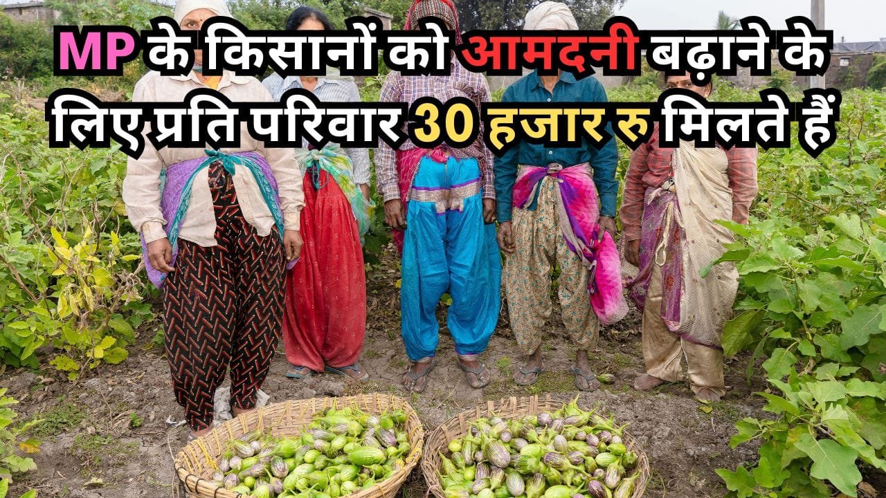 मध्य प्रदेश वर्षा आधारित क्षेत्र विकास योजना