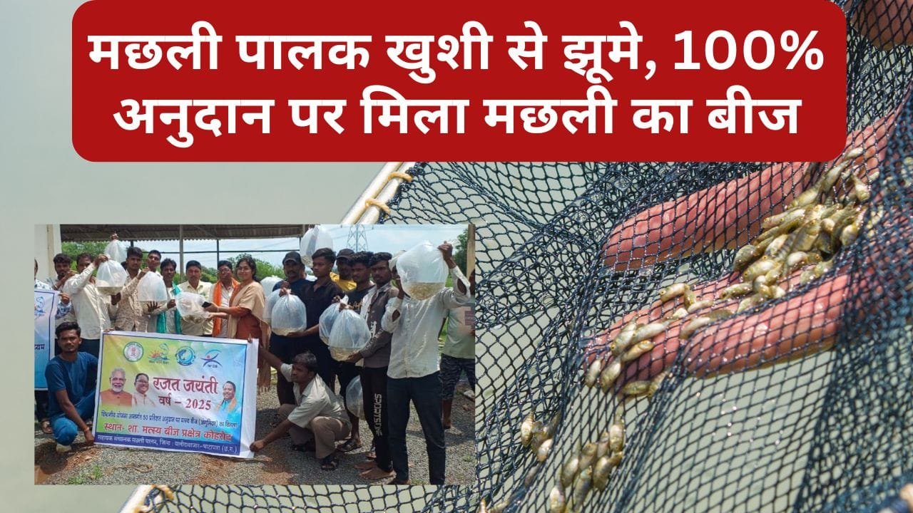 मछली का बीज अनुदान पर मिला
