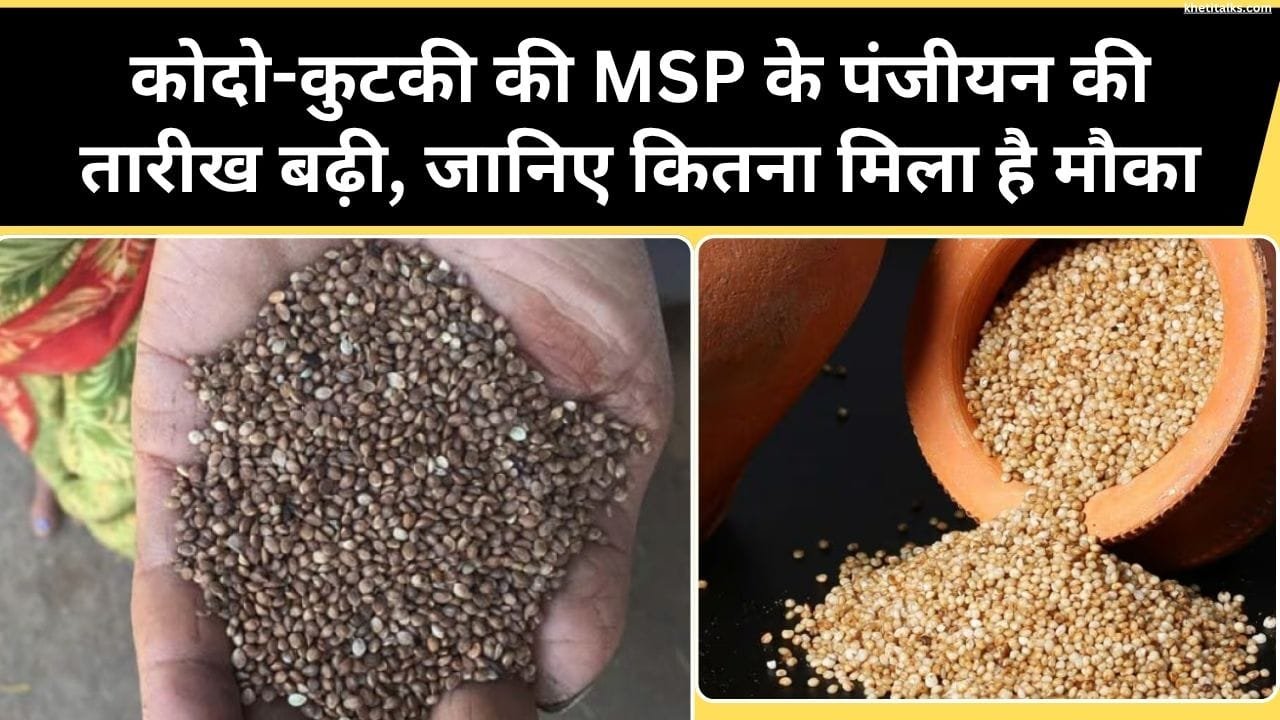 कब तक कर सकते हैं कोदो-कुटकी की MSP के लिए पंजीयन