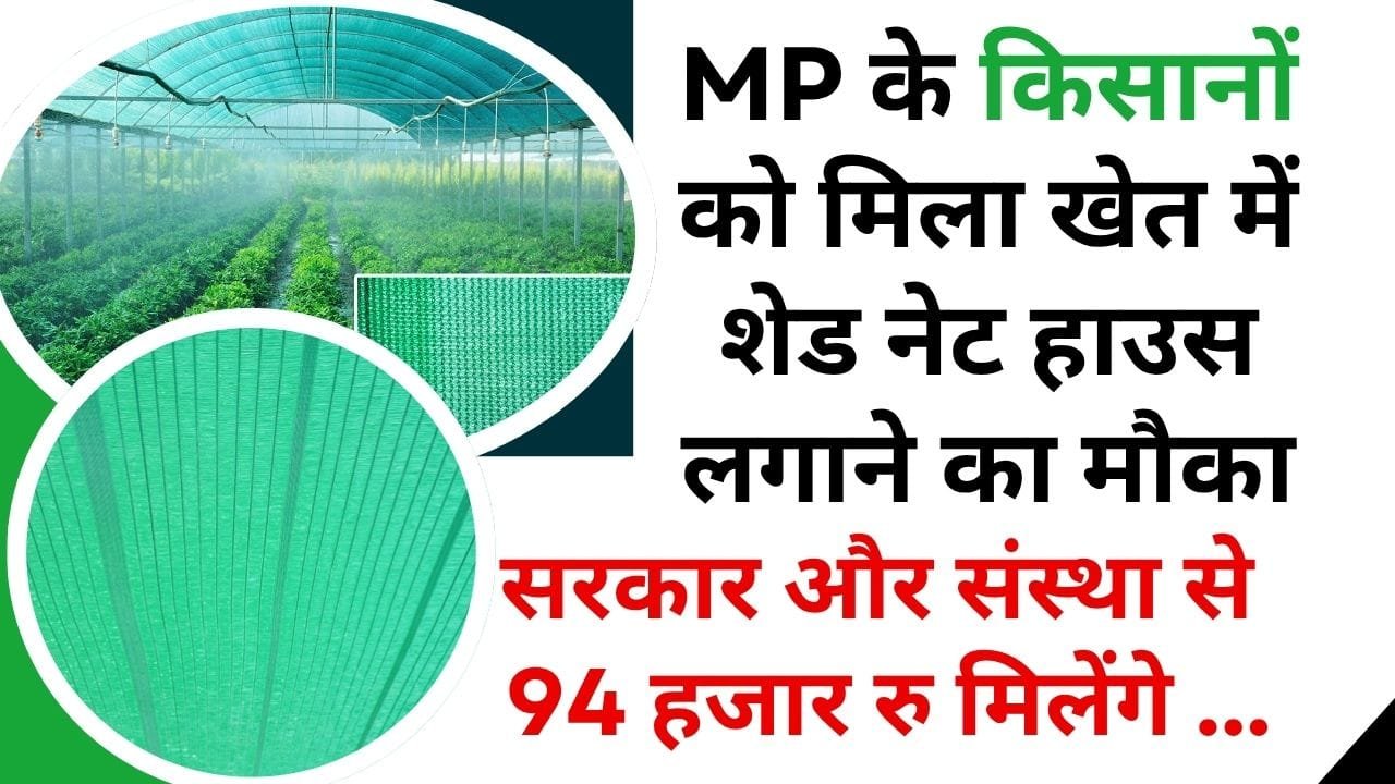 MP के किसानों को मिला खेत में शेड नेट हाउस लगाने का मौका