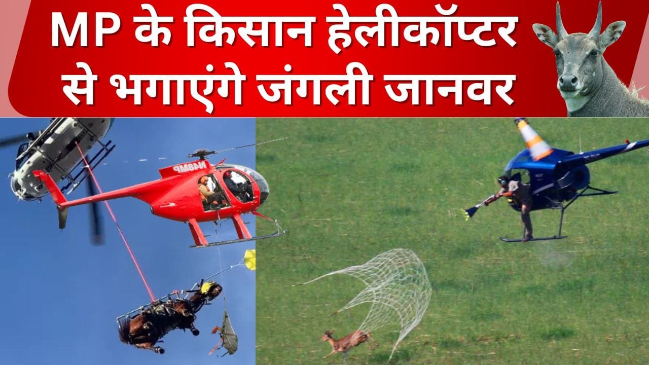 MP में हेलीकॉप्टर से हांका जाएगा जंगली जानवर